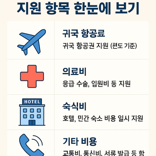 재외국민 긴급지원비
지원 항목