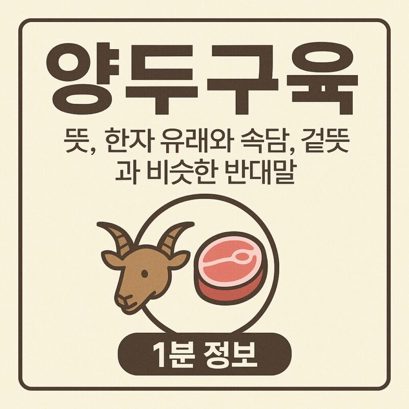 양두구육 둤, 속당, 유래