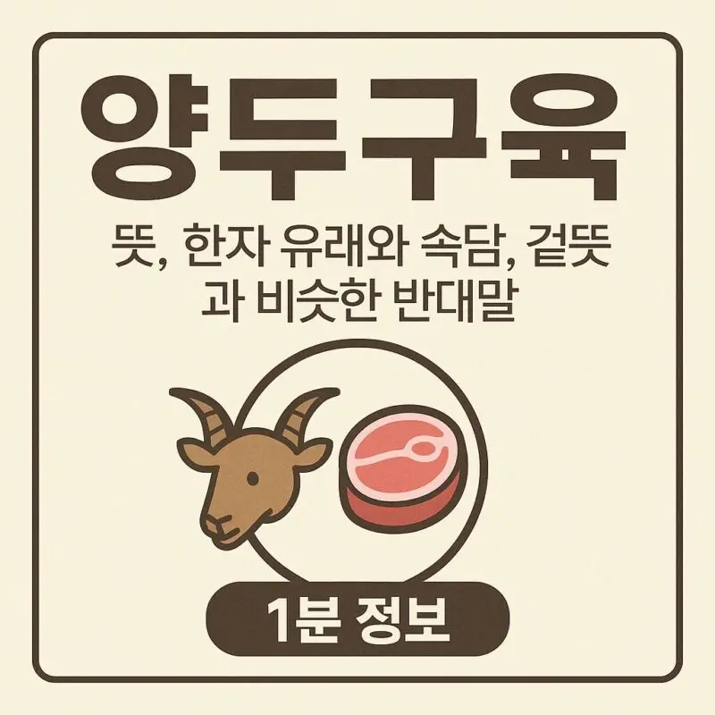 양두구육 둤, 속당, 유래