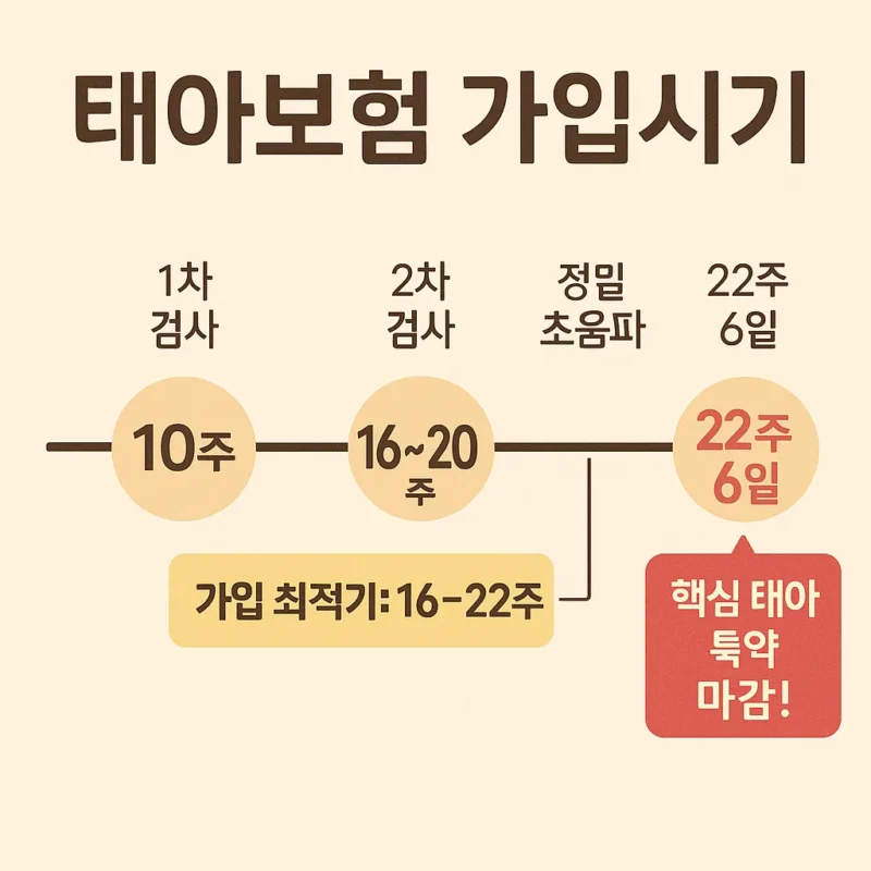 태아보험 가입시기