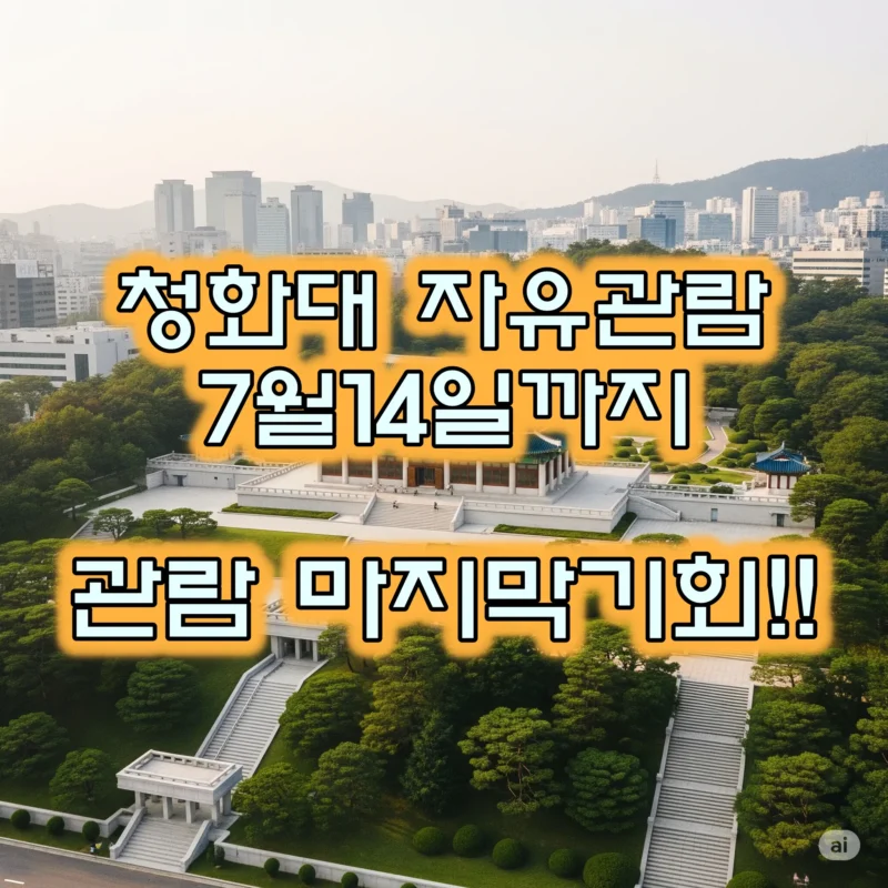 청화대 자유관람
