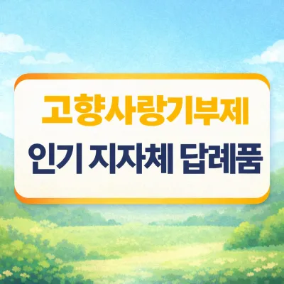 고향사랑기부제 인기 지자체 답례품